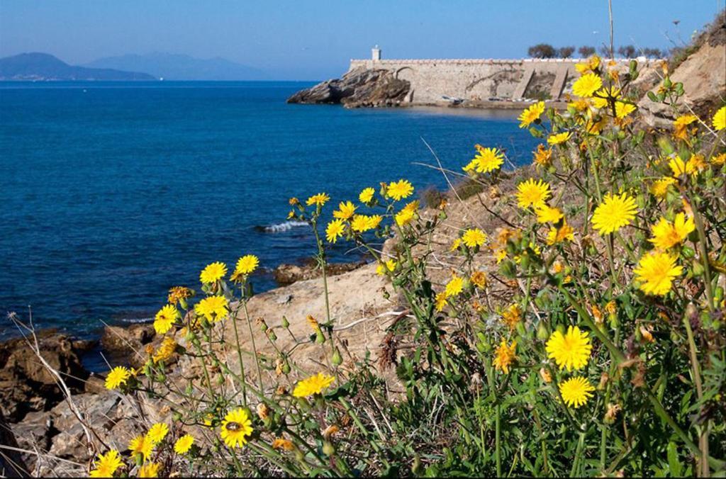 Hotel Roma Piombino Zewnętrze zdjęcie